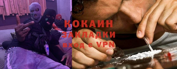 индика Новодвинск