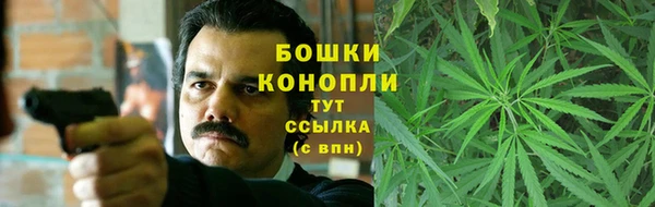 индика Новодвинск