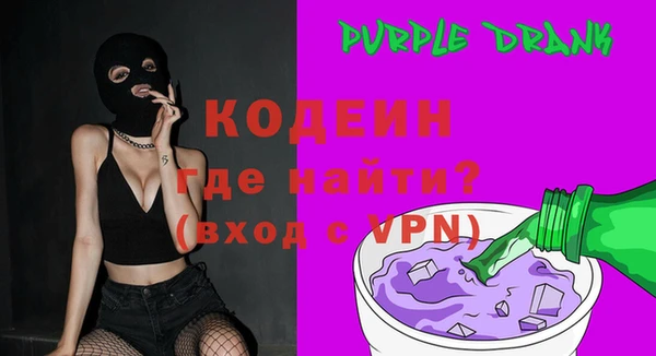 индика Новодвинск