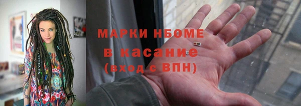 индика Новодвинск
