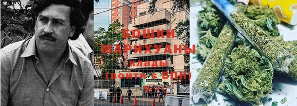 индика Новодвинск