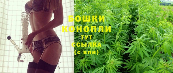 мдпв Новокубанск
