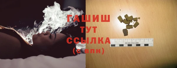 индика Новодвинск