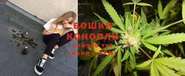 мдпв Новокубанск