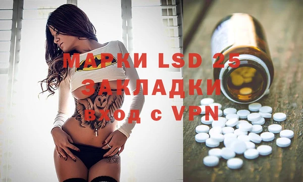 индика Новодвинск