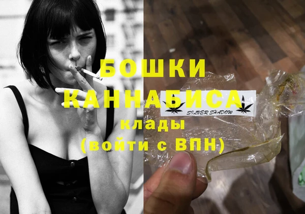 индика Новодвинск