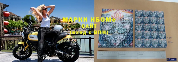 индика Новодвинск