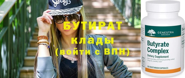 индика Новодвинск
