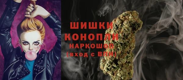 индика Новодвинск