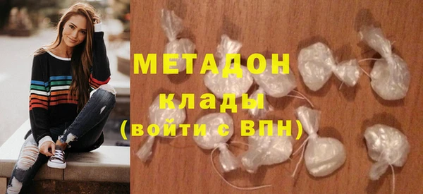 индика Новодвинск