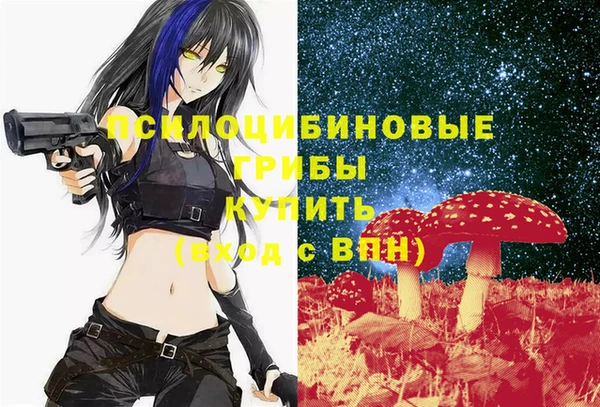 мдпв Новокубанск