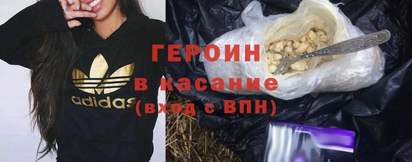 индика Новодвинск