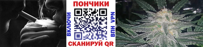 Канабис гибрид  Шиханы 